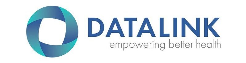 DataLink Software Logo